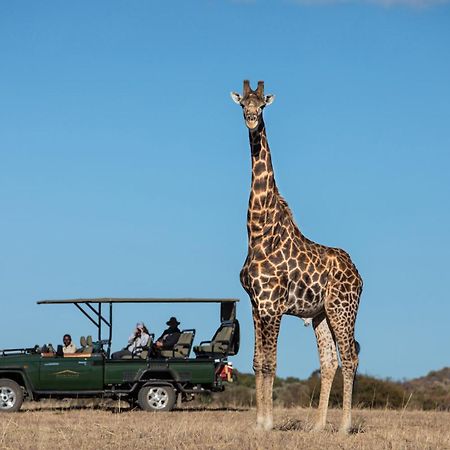 Safari Plains Βίλα Mabula Game Reserve Εξωτερικό φωτογραφία