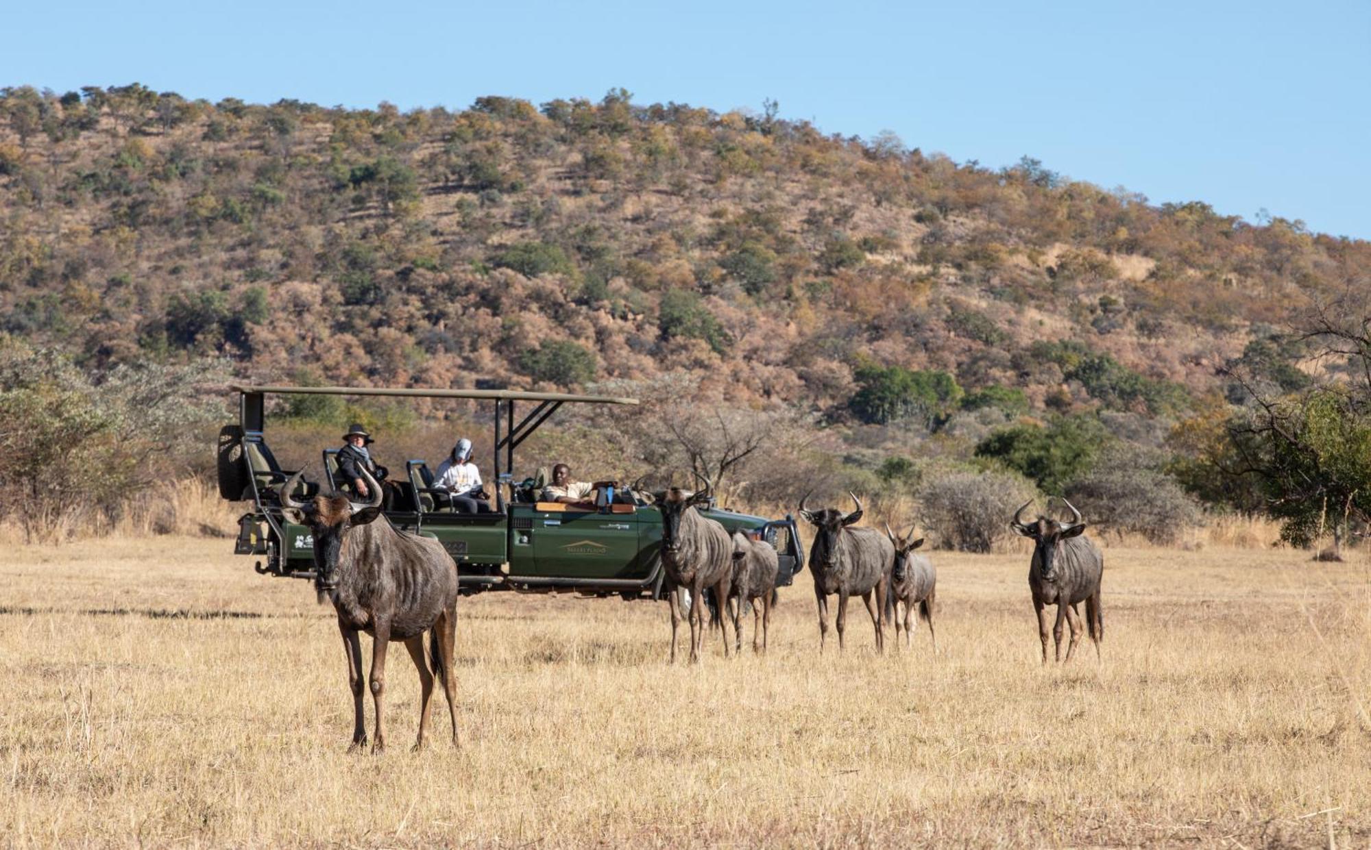 Safari Plains Βίλα Mabula Game Reserve Εξωτερικό φωτογραφία