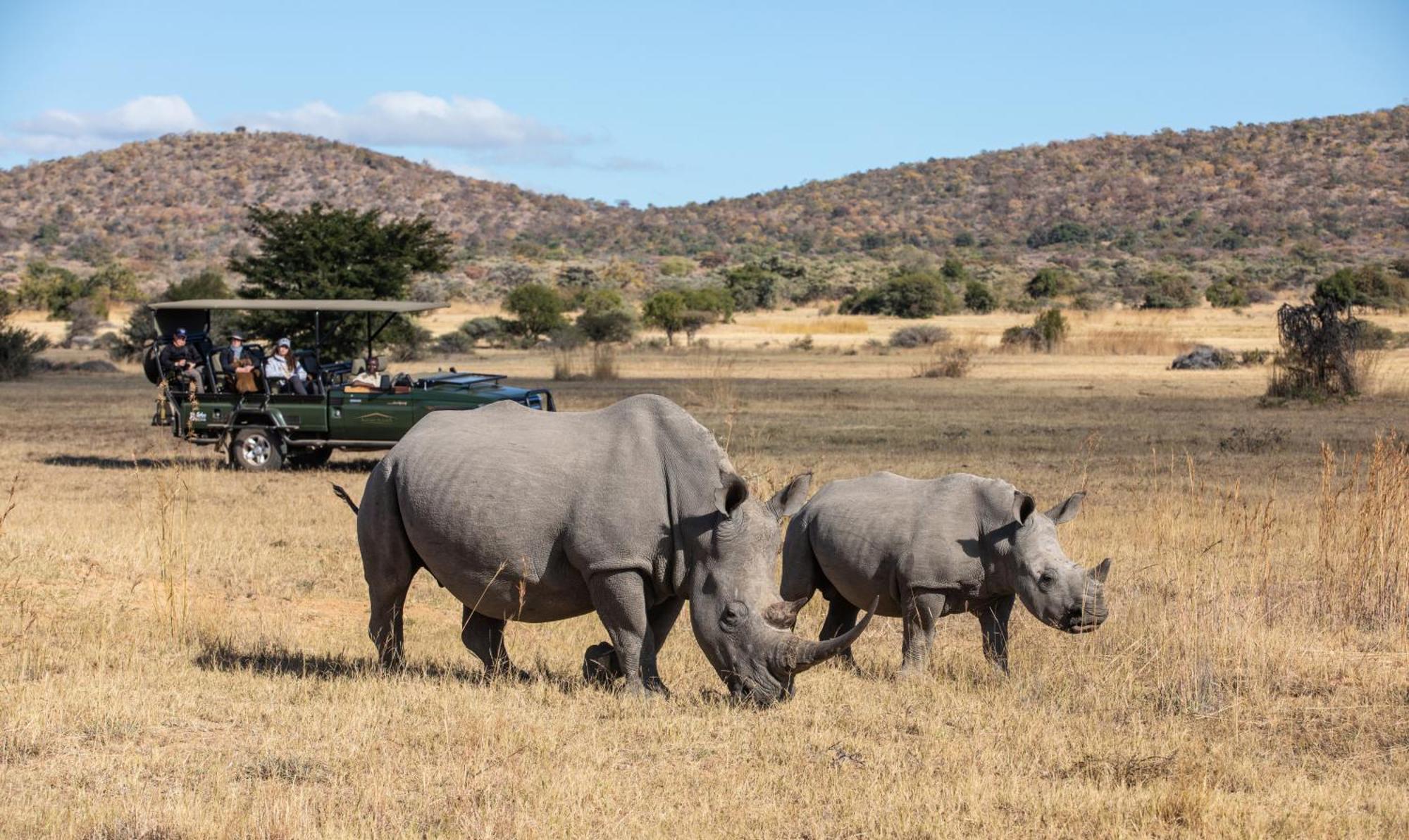 Safari Plains Βίλα Mabula Game Reserve Εξωτερικό φωτογραφία