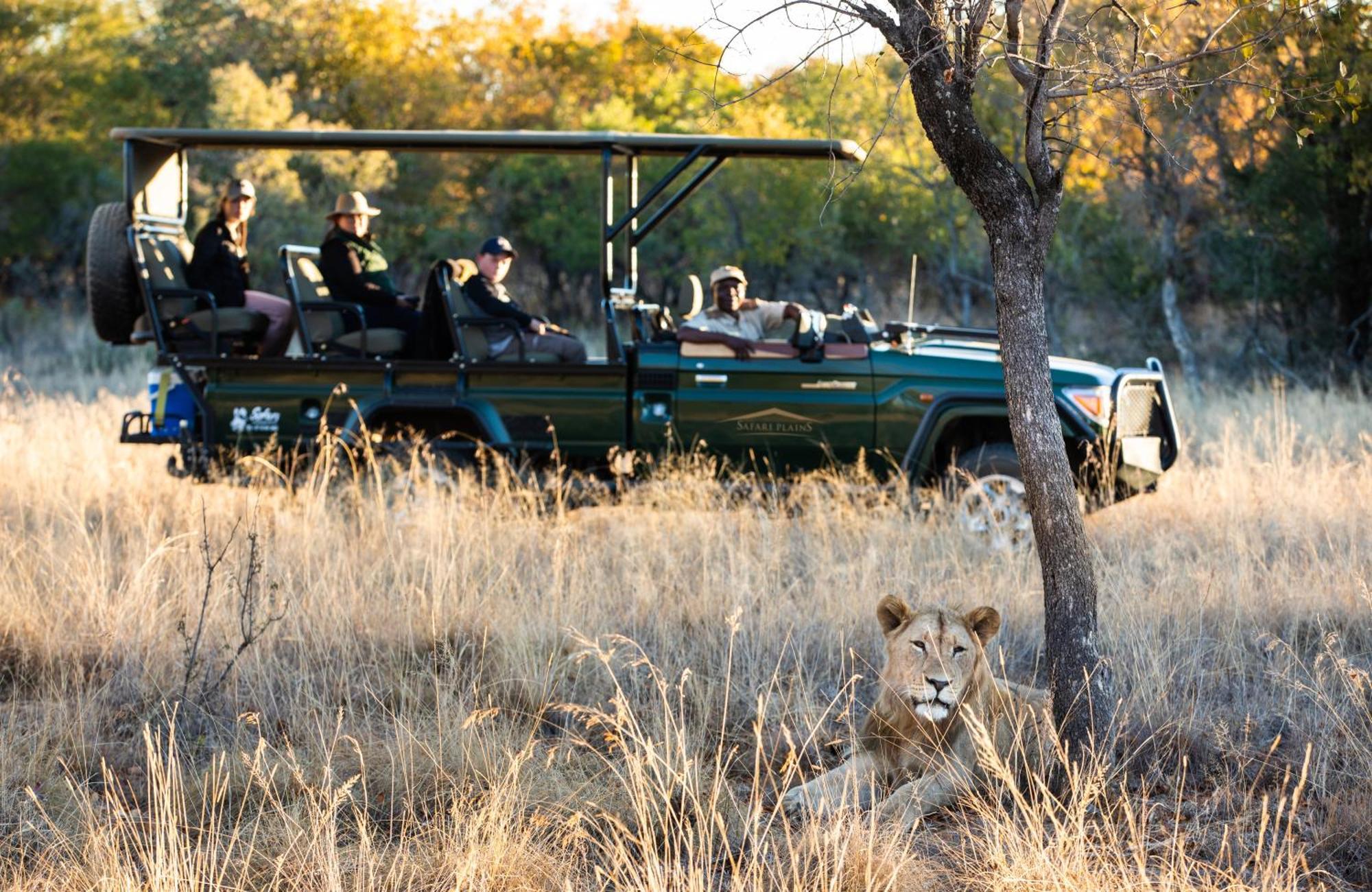 Safari Plains Βίλα Mabula Game Reserve Εξωτερικό φωτογραφία