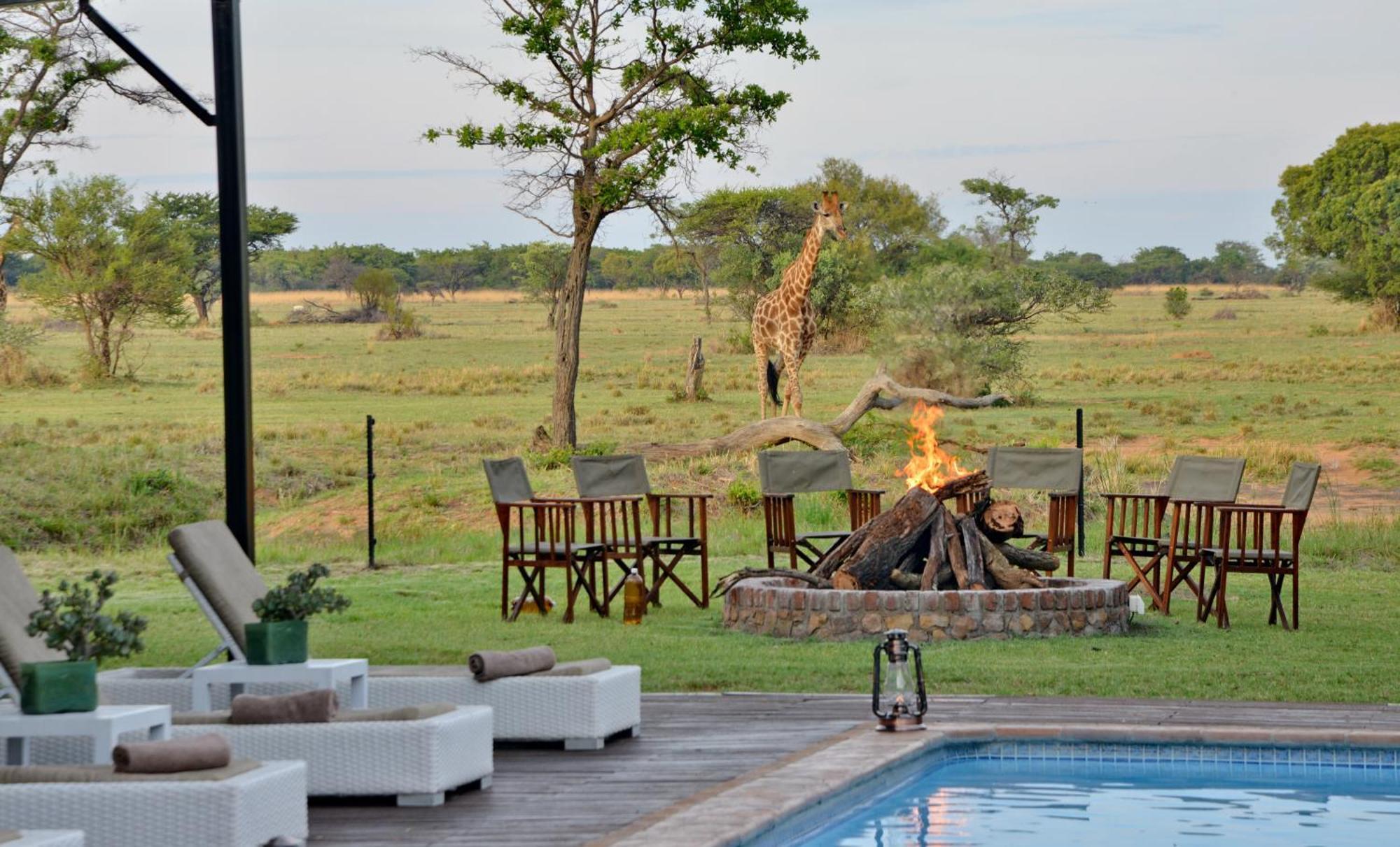 Safari Plains Βίλα Mabula Game Reserve Εξωτερικό φωτογραφία